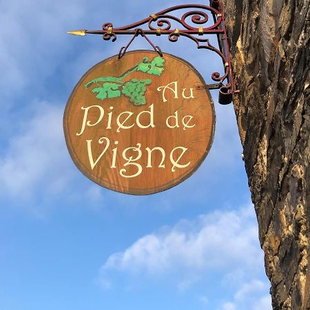 Appart Hotel Au Pied De Vigne Vresse-sur-Semois Kültér fotó