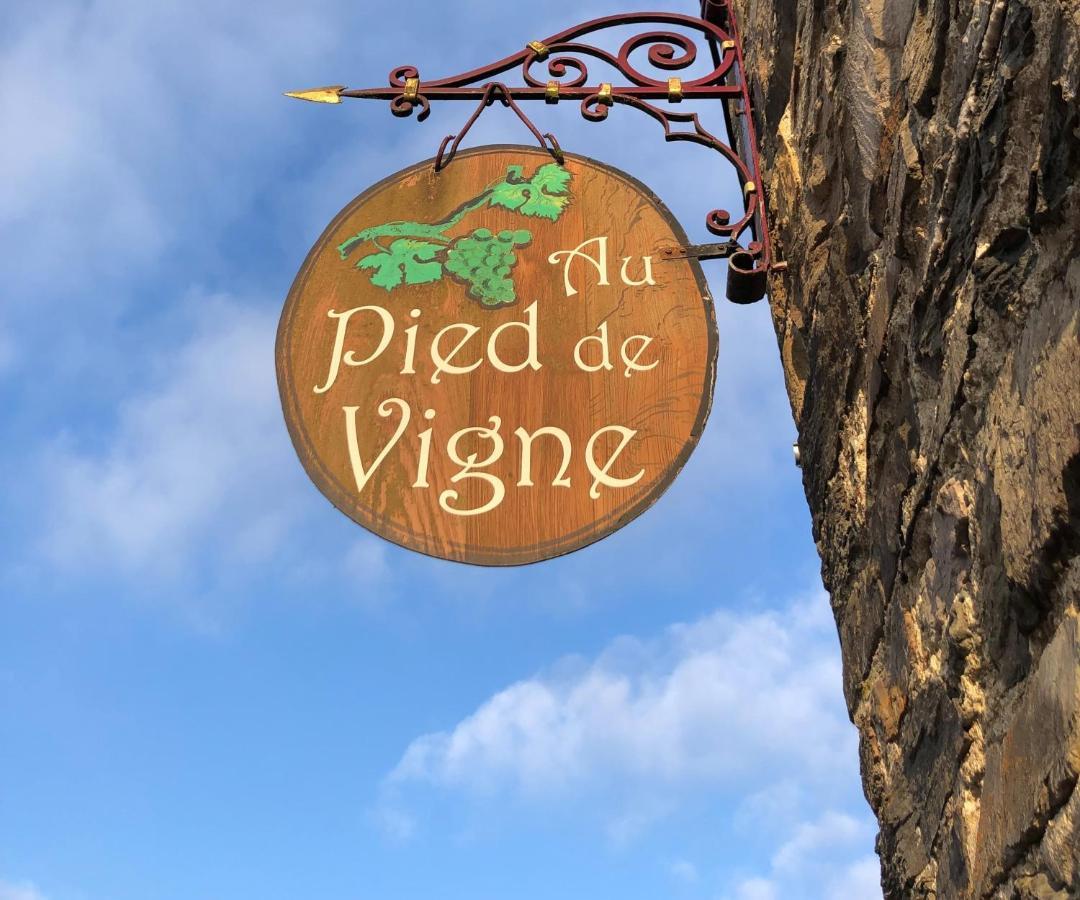 Appart Hotel Au Pied De Vigne Vresse-sur-Semois Kültér fotó